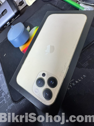iPhone 13 Pro Max Max-256GB (Used)